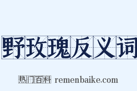野玫瑰反义词是什么意思的图片